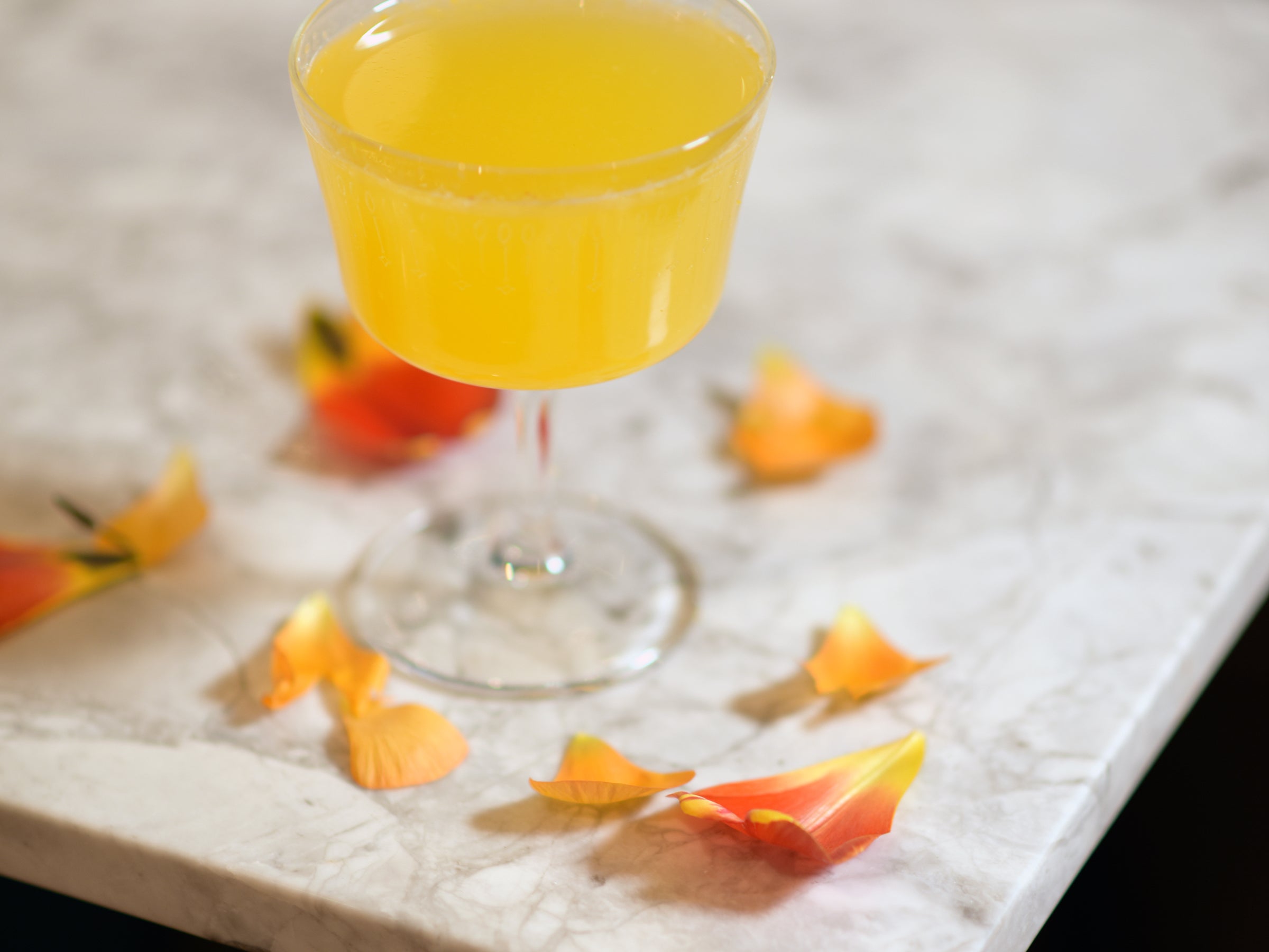 Glassware Gift Guide: Perfect Presents for Wine and Cocktail Lovers
