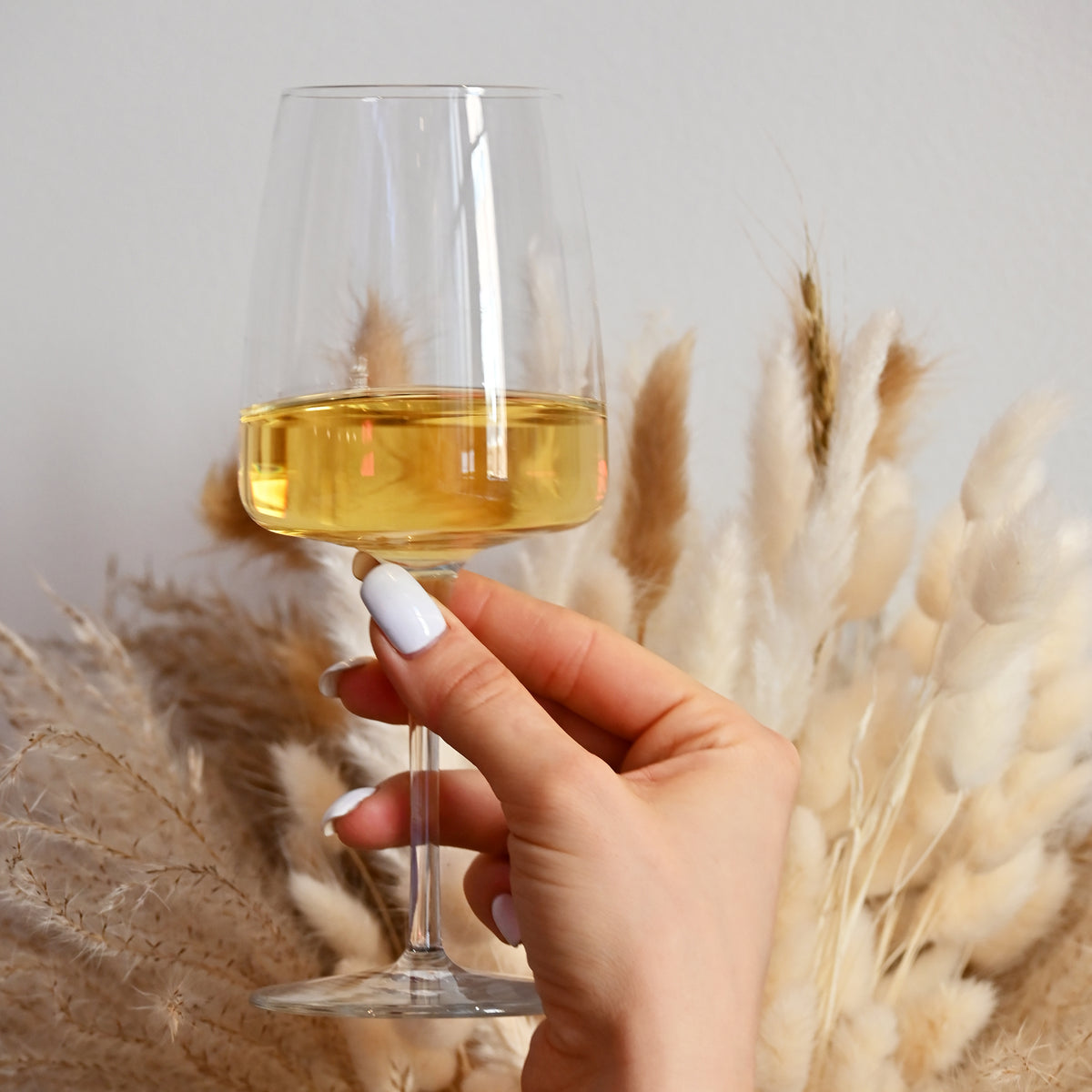 Bormioli Rocco Planeo 12.75 oz. White Wine Glasses (Set of 4)