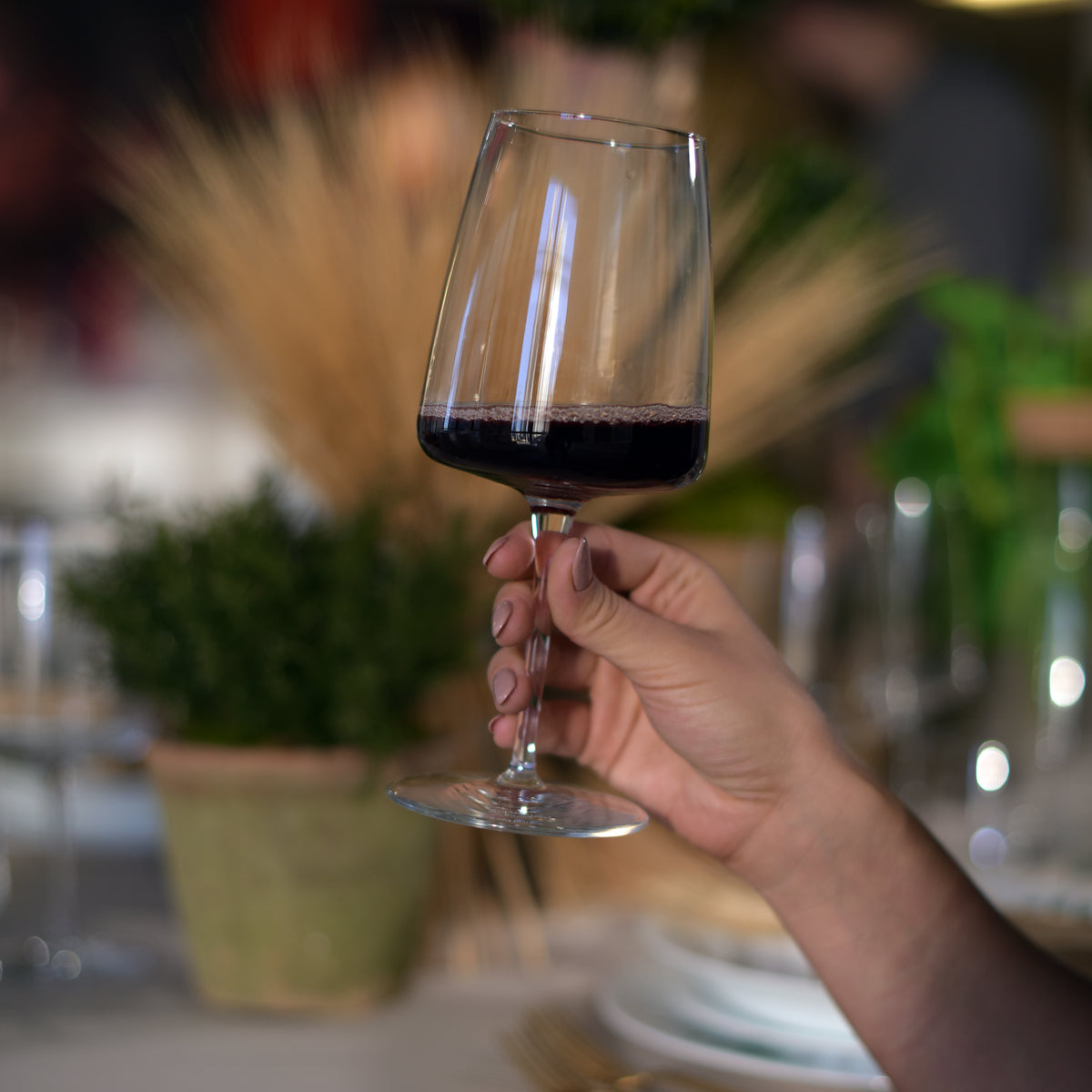 Bormioli Rocco Planeo 16 oz. Red Wine Glasses (Set of 4)