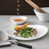 Bormioli Rocco Prometeo 12.5" x 10.25" Opal Glass Steak Plate (Set of 6)