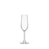 Bormioli Rocco Riserva 7 oz. Champagne or Sparkling Wine Flute (Set of 6)